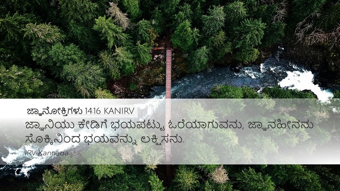 ಜ್ಞಾನೋಕ್ತಿಗಳು 14:16 KANIRV Bible Verse Image