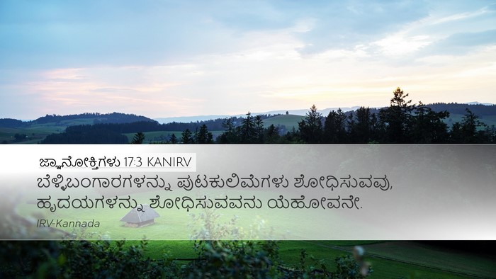 ಜ್ಞಾನೋಕ್ತಿಗಳು 17:3 KANIRV Bible Verse Image