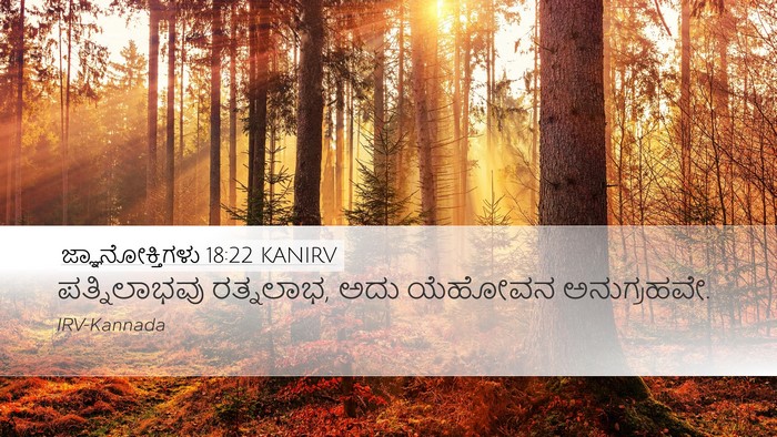 ಜ್ಞಾನೋಕ್ತಿಗಳು 18:22 KANIRV Bible Verse Image