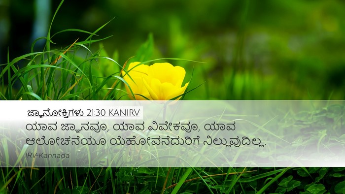 ಜ್ಞಾನೋಕ್ತಿಗಳು 21:30 KANIRV Bible Verse Image