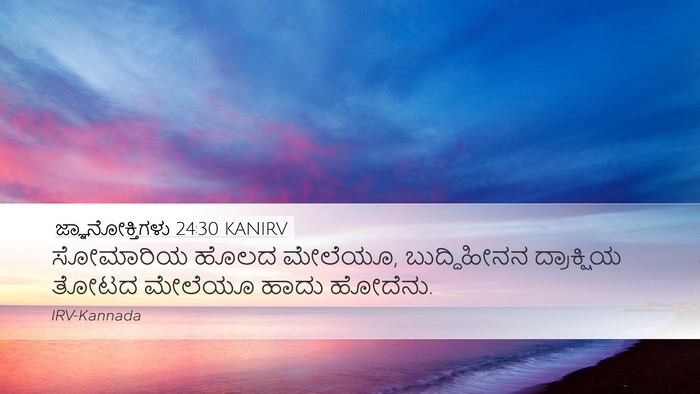 ಜ್ಞಾನೋಕ್ತಿಗಳು 24:30 KANIRV Bible Verse Image