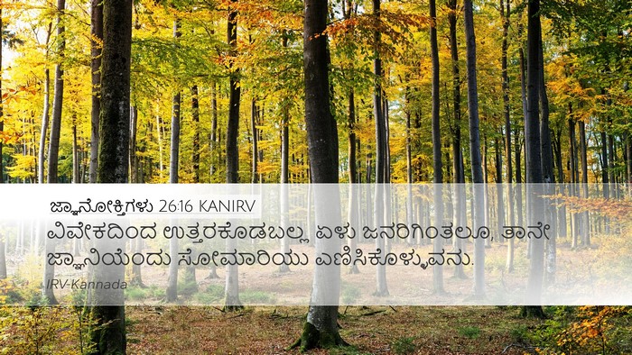 ಜ್ಞಾನೋಕ್ತಿಗಳು 26:16 KANIRV Bible Verse Image