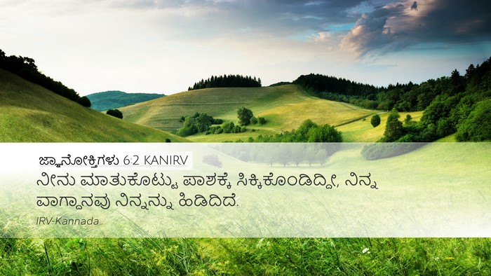 ಜ್ಞಾನೋಕ್ತಿಗಳು 6:2 KANIRV Bible Verse Image