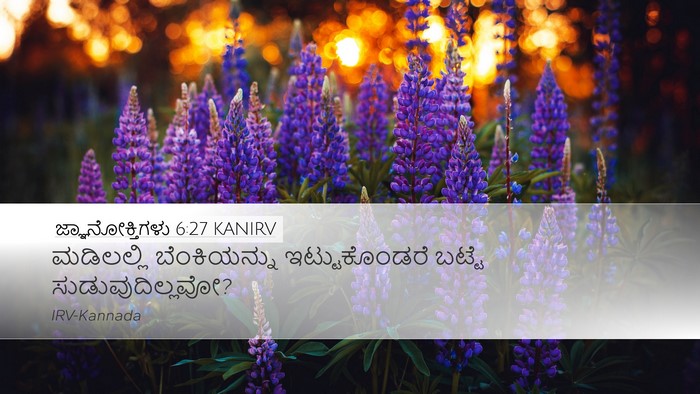 ಜ್ಞಾನೋಕ್ತಿಗಳು 6:27 KANIRV Desktop Wallpaper - ಮಡಿಲಲ್ಲಿ - Desktop Bible Verse Wallpaper