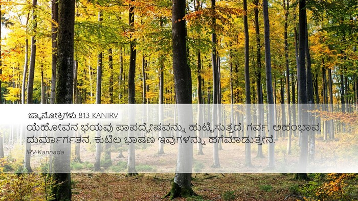 ಜ್ಞಾನೋಕ್ತಿಗಳು 8:13 KANIRV Bible Verse Image