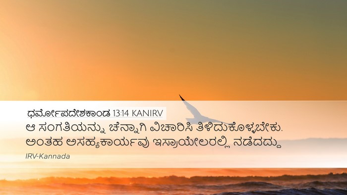 ಧರ್ಮೋಪದೇಶಕಾಂಡ 13:14 KANIRV Bible Verse Image