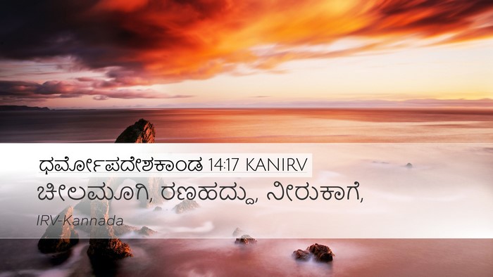 ಧರ್ಮೋಪದೇಶಕಾಂಡ 14:17 KANIRV Desktop Wallpaper - ಚೀಲಮೂಗಿ, ರಣಹದ್ದು, - Desktop Bible Verse Wallpaper