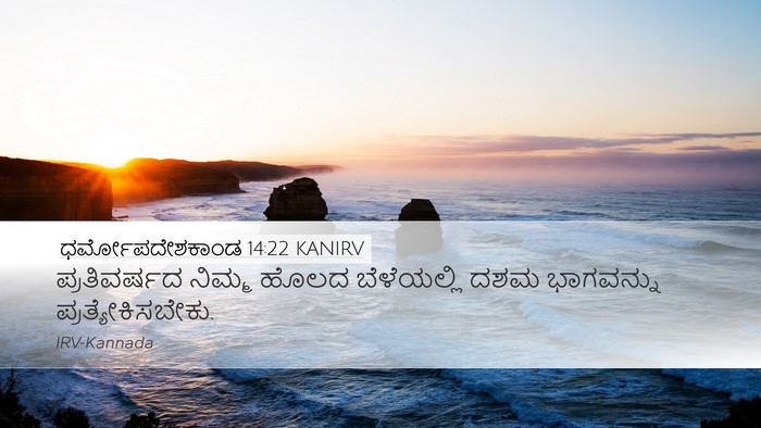 ಧರ್ಮೋಪದೇಶಕಾಂಡ 14:22 KANIRV Bible Verse Image