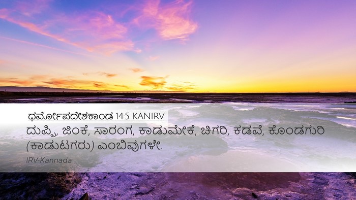 ಧರ್ಮೋಪದೇಶಕಾಂಡ 14:5 KANIRV Desktop Wallpaper - ದುಪ್ಪಿ, ಜಿಂಕೆ, - Desktop Bible Verse Wallpaper