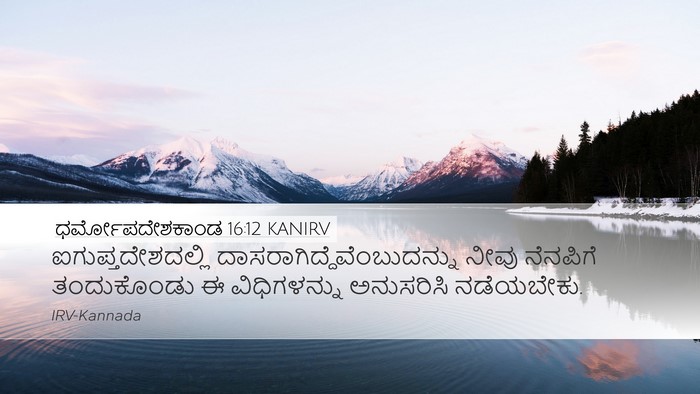 ಧರ್ಮೋಪದೇಶಕಾಂಡ 16:12 KANIRV Bible Verse Image