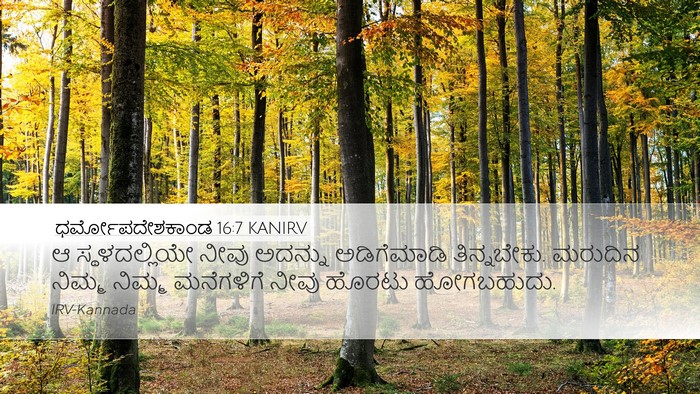 ಧರ್ಮೋಪದೇಶಕಾಂಡ 16:7 KANIRV Bible Verse Image