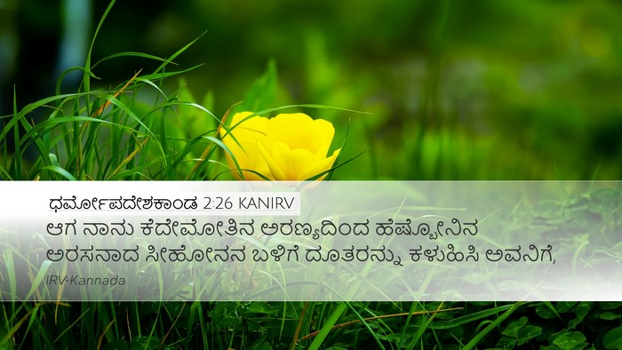 ಧರ್ಮೋಪದೇಶಕಾಂಡ 2:26 KANIRV Bible Verse Image