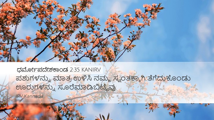 ಧರ್ಮೋಪದೇಶಕಾಂಡ 2:35 KANIRV Bible Verse Image