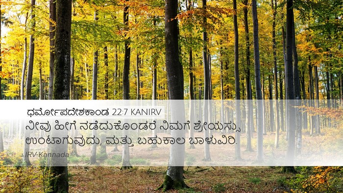ಧರ್ಮೋಪದೇಶಕಾಂಡ 22:7 KANIRV Bible Verse Image