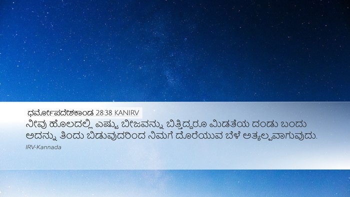 ಧರ್ಮೋಪದೇಶಕಾಂಡ 28:38 KANIRV Bible Verse Image