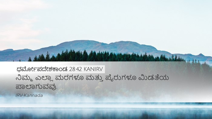 ಧರ್ಮೋಪದೇಶಕಾಂಡ 28:42 KANIRV Bible Verse Image