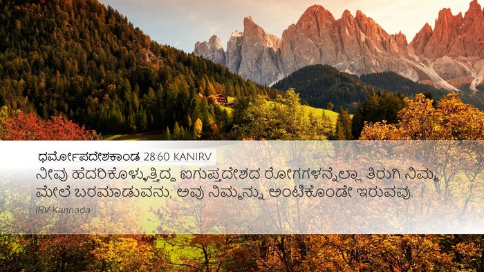 ಧರ್ಮೋಪದೇಶಕಾಂಡ 28:60 KANIRV Bible Verse Image