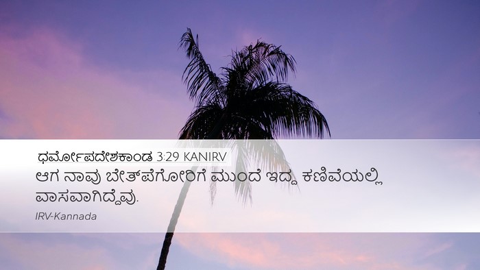 ಧರ್ಮೋಪದೇಶಕಾಂಡ 3:29 KANIRV Bible Verse Image
