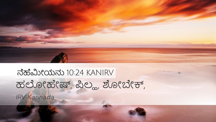 ನೆಹೆಮೀಯನು 10:24 KANIRV Desktop Wallpaper - ಹಲೋಹೇಷ್, ಪಿಲ್ಹ, - Desktop Bible Verse Wallpaper
