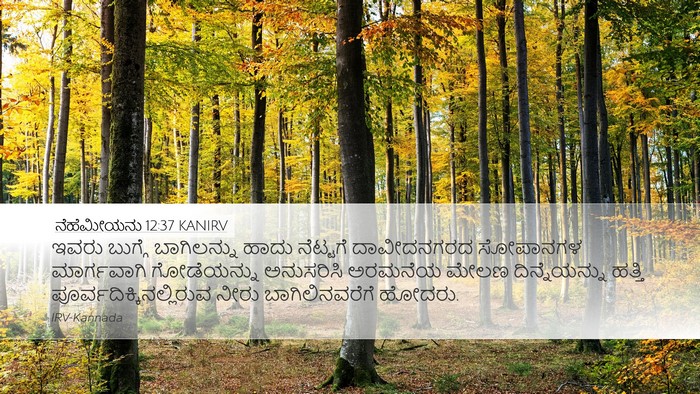 ನೆಹೆಮೀಯನು 12:37 KANIRV Bible Verse Image