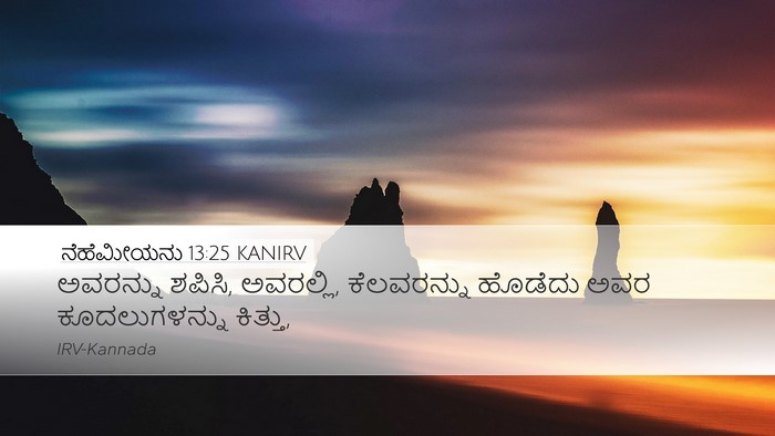 ನೆಹೆಮೀಯನು 13:25 KANIRV Bible Verse Image