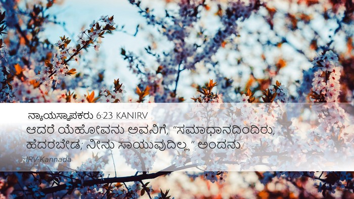 ನ್ಯಾಯಸ್ಥಾಪಕರು 6:23 KANIRV Bible Verse Image
