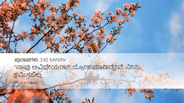 ಪ್ರಲಾಪಗಳು 3:42 KANIRV Bible Verse Image