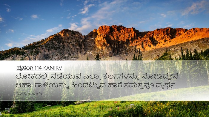 ಪ್ರಸಂಗಿ 1:14 KANIRV Bible Verse Image