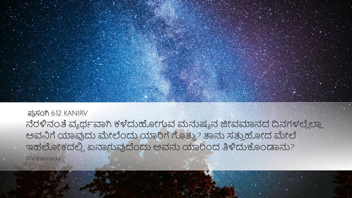 ಪ್ರಸಂಗಿ 6:12 KANIRV Bible Verse Image