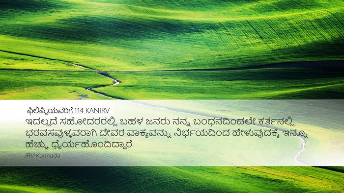 ಫಿಲಿಪ್ಪಿಯವರಿಗೆ 1:14 KANIRV Bible Verse Image