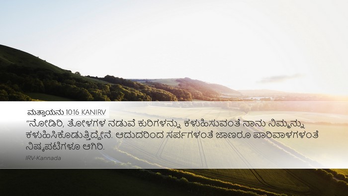 ಮತ್ತಾಯನು 10:16 KANIRV Bible Verse Image