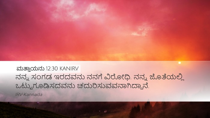 ಮತ್ತಾಯನು 12:30 KANIRV Bible Verse Image