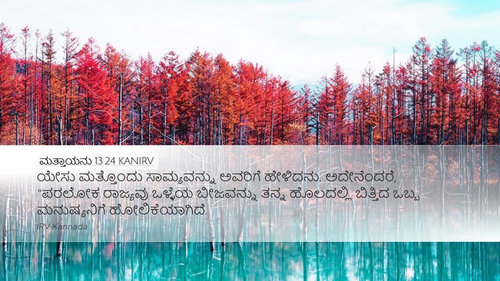 ಮತ್ತಾಯನು 13:24 KANIRV Bible Verse Image