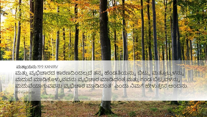 ಮತ್ತಾಯನು 19:9 KANIRV Bible Verse Image