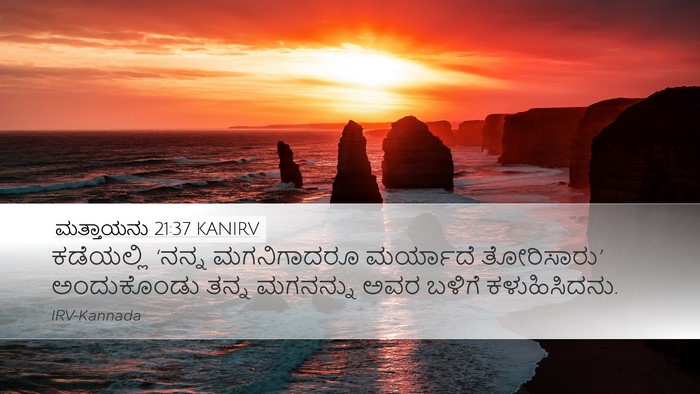 ಮತ್ತಾಯನು 21:37 KANIRV Bible Verse Image