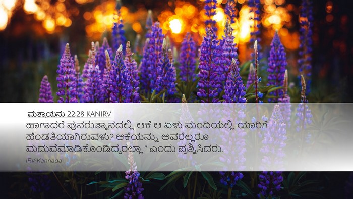 ಮತ್ತಾಯನು 22:28 KANIRV Desktop Wallpaper - ಹಾಗಾದರೆ - Desktop Bible Verse Wallpaper
