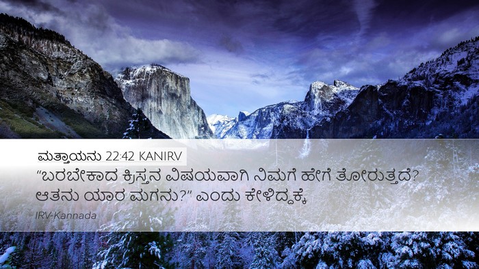 ಮತ್ತಾಯನು 22:42 KANIRV Bible Verse Image