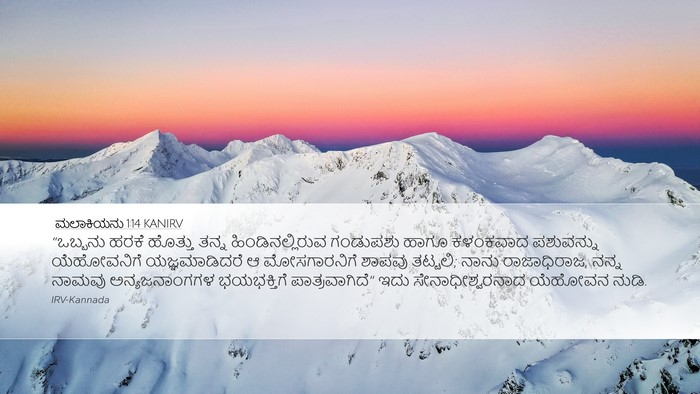 ಮಲಾಕಿಯನು 1:14 KANIRV Bible Verse Image