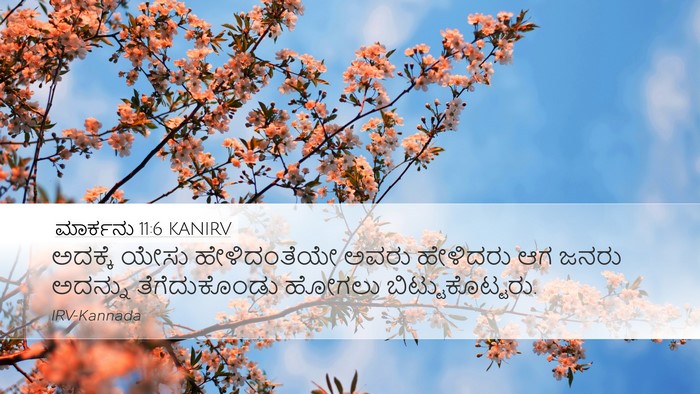ಮಾರ್ಕನು 11:6 KANIRV Desktop Wallpaper - ಅದಕ್ಕೆ ಯೇಸು - Desktop Bible Verse Wallpaper