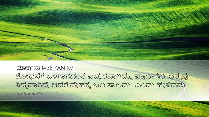 ಮಾರ್ಕನು 14:38 KANIRV Bible Verse Image