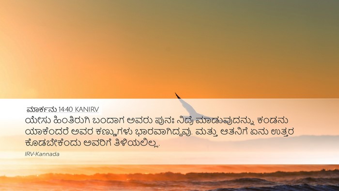 ಮಾರ್ಕನು 14:40 KANIRV Bible Verse Image
