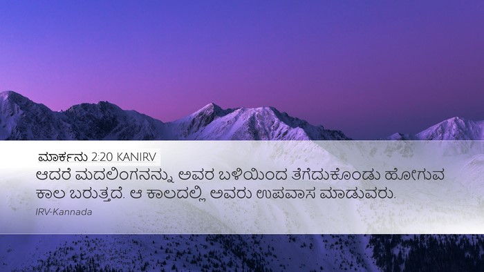 ಮಾರ್ಕನು 2:20 KANIRV Desktop Wallpaper - ಆದರೆ ಮದಲಿಂಗನನ್ನು - Desktop Bible Verse Wallpaper