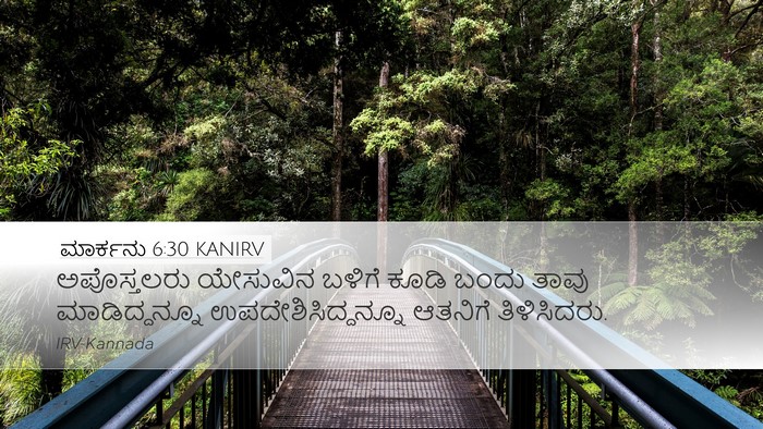 ಮಾರ್ಕನು 6:30 KANIRV Bible Verse Image