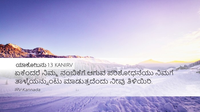 ಯಾಕೋಬನು 1:3 KANIRV Bible Verse Image