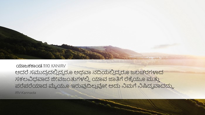 ಯಾಜಕಕಾಂಡ 11:10 KANIRV Desktop Wallpaper - ಆದರೆ - Desktop Bible Verse Wallpaper