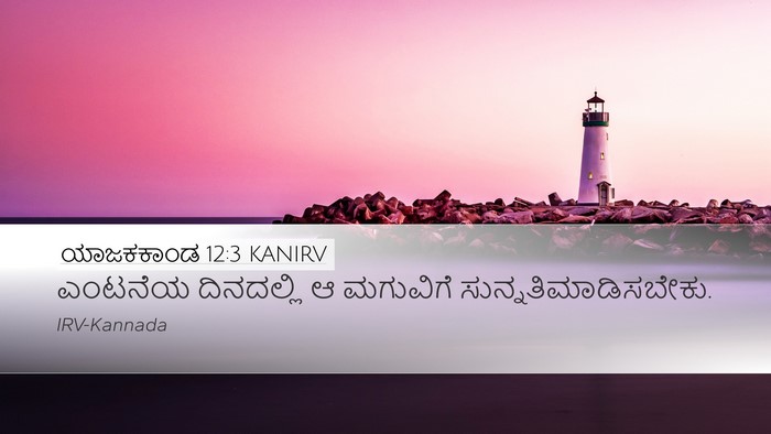 ಯಾಜಕಕಾಂಡ 12:3 KANIRV Bible Verse Image