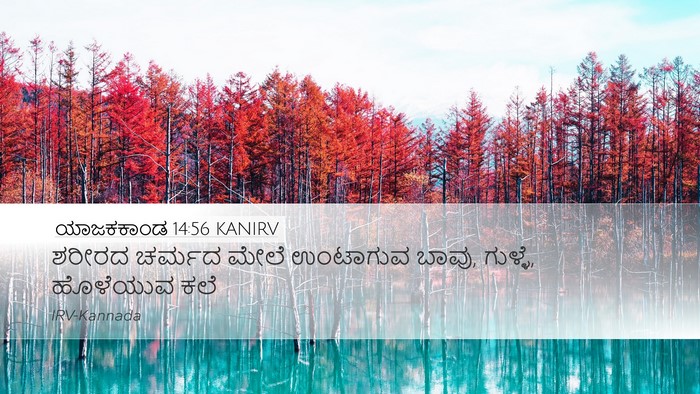 ಯಾಜಕಕಾಂಡ 14:56 KANIRV Bible Verse Image
