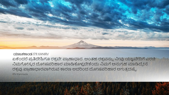 ಯಾಜಕಕಾಂಡ 17:11 KANIRV Bible Verse Image