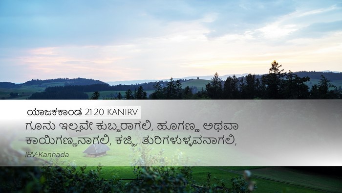 ಯಾಜಕಕಾಂಡ 21:20 KANIRV Bible Verse Image