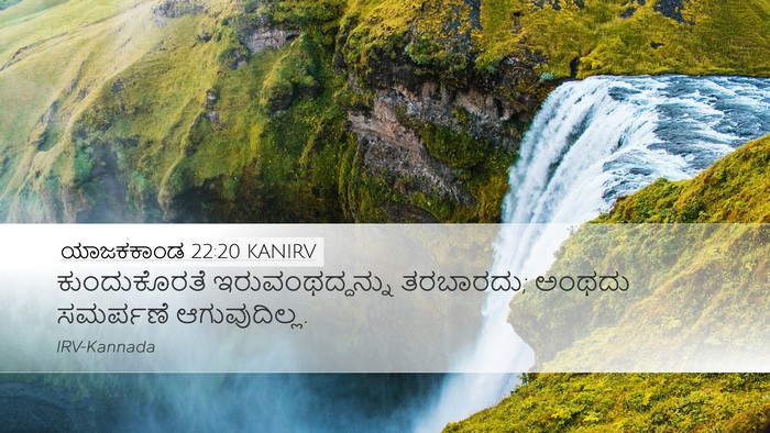 ಯಾಜಕಕಾಂಡ 22:20 KANIRV Bible Verse Image